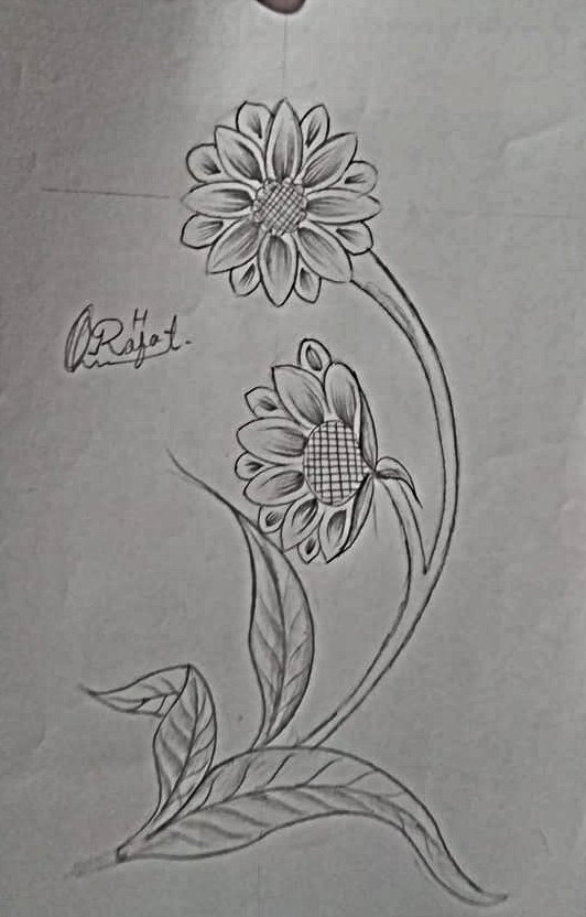 How to draw Sunflowers An Easy Step-by-Step Guide