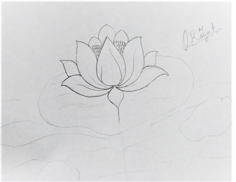 How to draw Lotus Flowers An Easy Step-by-Step Guide