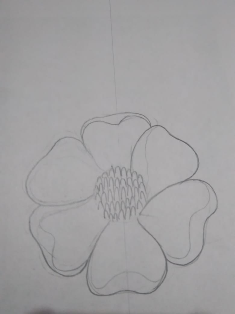 How To Draw Poppy Flowers Step By