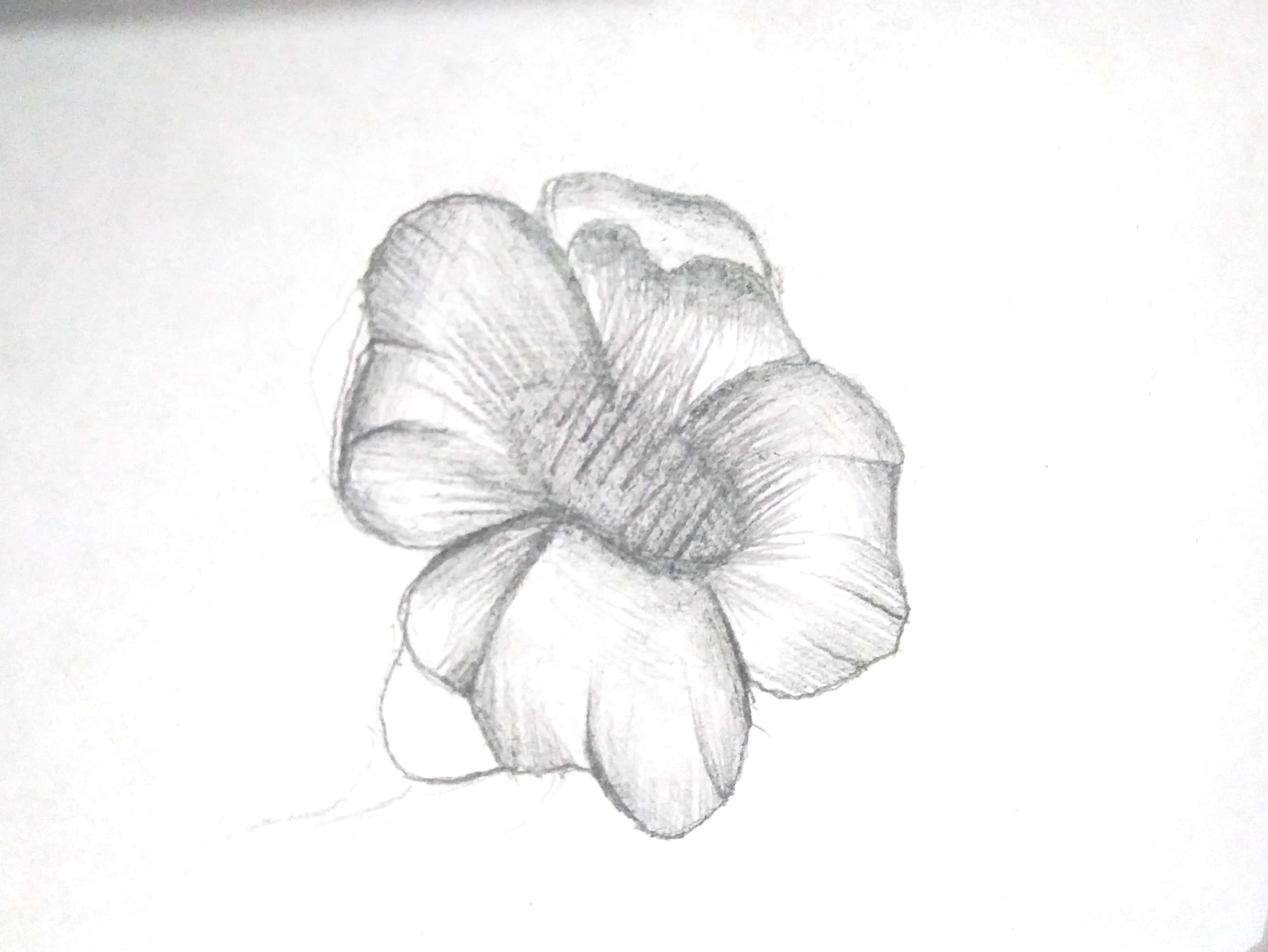 Step 5 Shade the Flower
