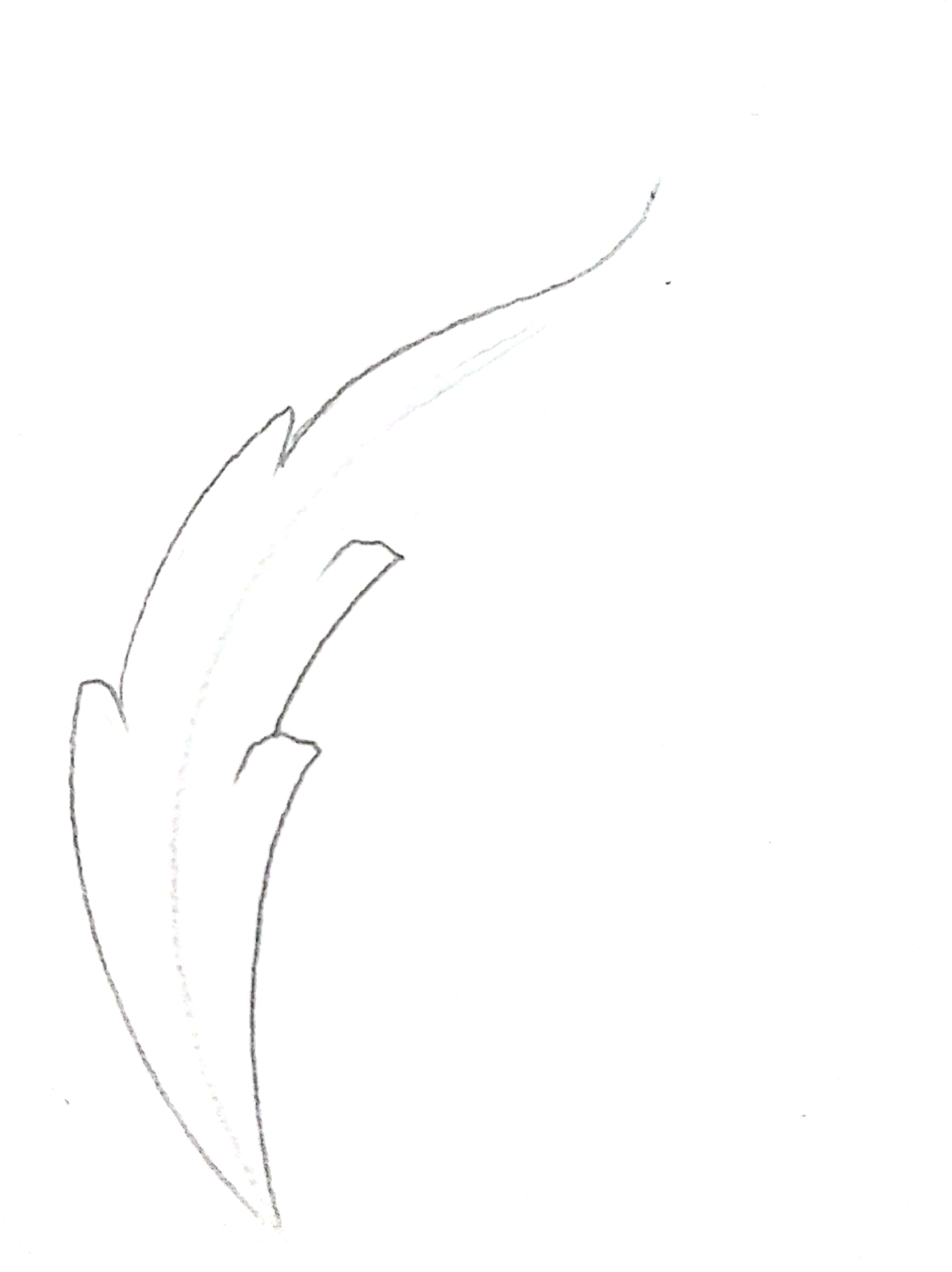Step 4 Drawing basic leaf shape easy Part 6