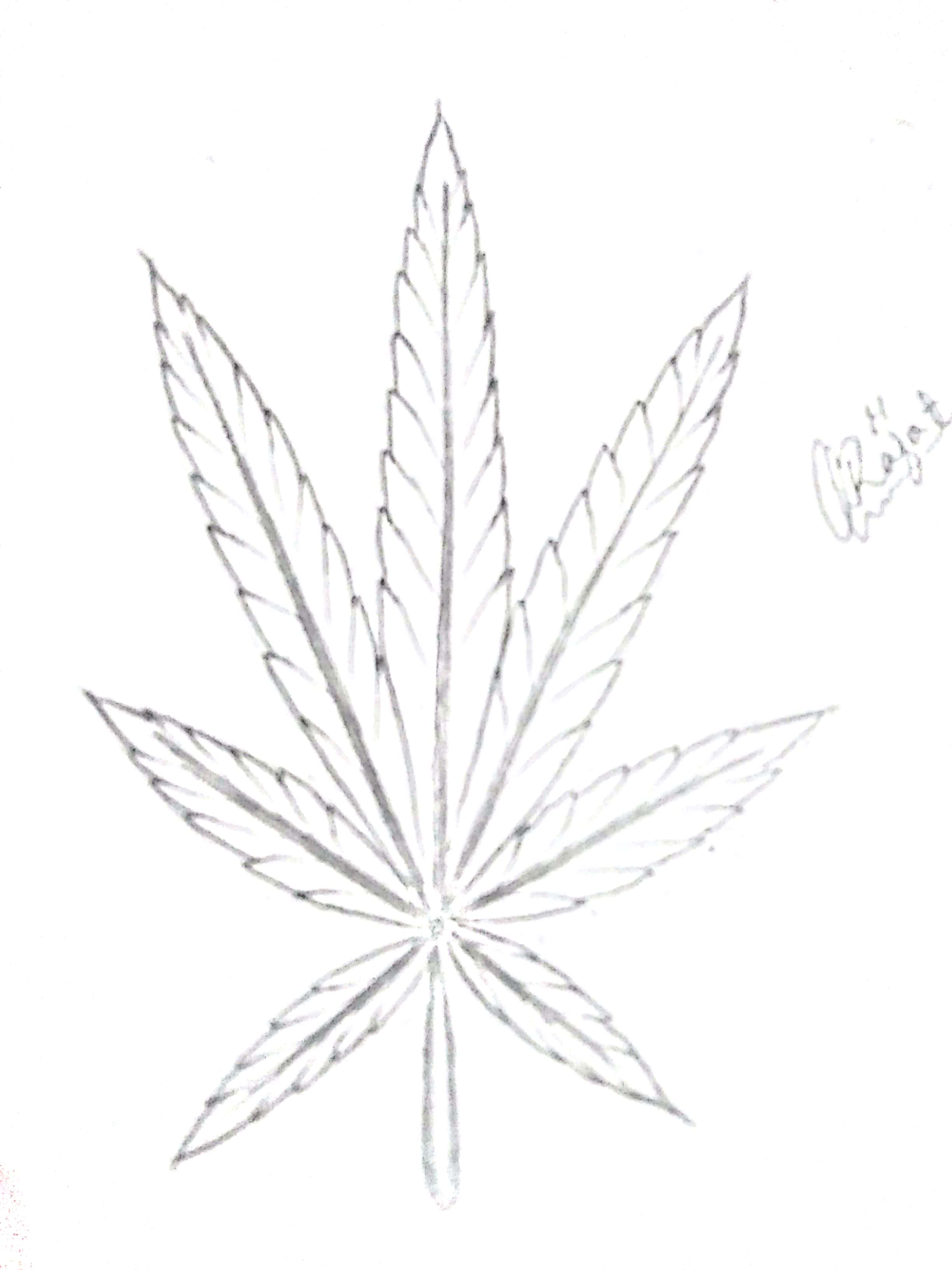 How to draw Pot Leaf Easy Part 2 An Easy Step-by-Step Guide